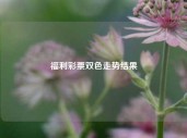 福利彩票双色走势结果