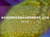 湖北省彩票网走势图综合解答解释落实_钻石版2024.11.05