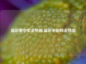 福彩票中奖走势图,福彩中彩网走势图