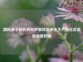 国际原子能机构称伊朗同意停止生产接近武器级浓度的铀