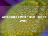 百亿规模公募基金隐形重仓股出炉，多只个股业绩向好