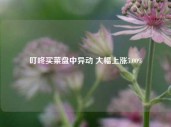 叮咚买菜盘中异动 大幅上涨5.00%