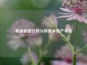 高盛据悉计划分拆数字资产平台