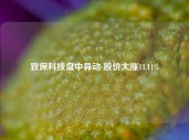 致保科技盘中异动 股价大涨11.11%