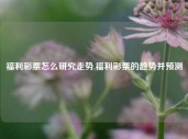 福利彩票怎么研究走势,福利彩票的趋势并预测