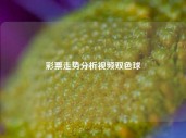 彩票走势分析视频双色球