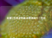 彩票12生肖走势图,彩票查询十二生肖