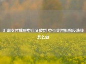 汇潮支付牌照中止又被罚 中小支付机构反洗钱怎么做