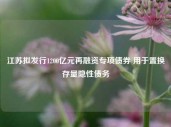 江苏拟发行1200亿元再融资专项债券 用于置换存量隐性债务