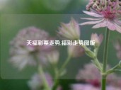 天福彩票走势,福彩走势图版