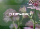 彩票走势遗漏表,遗漏走势图