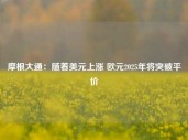 摩根大通：随着美元上涨 欧元2025年将突破平价