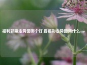 福利彩票走势图哪个好,看福彩走势图用什么app