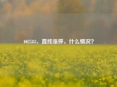 002583，直线涨停，什么情况？