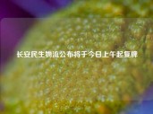 长安民生物流公布将于今日上午起复牌