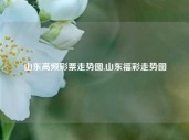 山东高频彩票走势图,山东福彩走势图