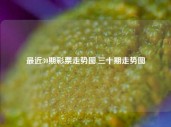 最近30期彩票走势图,三十期走势图