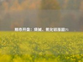 期市开盘：烧碱、氧化铝涨超2%