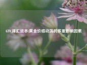 GTC泽汇资本:黄金价格动荡的多重影响因素