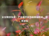 长安期货张晨：产业面仍呈供强需弱格局，双焦承压