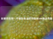 彩票双色球一千期走势,福彩双色球1000期走势图