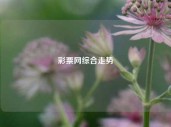 彩票网综合走势