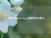 大摩上调Bloom Energy目标价至28美元