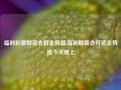 福利彩票群英会群走势图,福彩群英会开奖走势图今天晚上