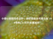 小摩Q3美股持仓出炉：微软稳坐头号重仓股 AMD等热门AI芯片股遭减持