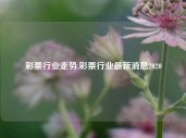 彩票行业走势,彩票行业最新消息2020