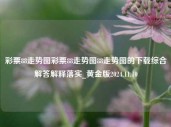 彩票88走势图彩票88走势图88走势图的下载综合解答解释落实_黄金版2024.11.10