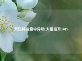 天弘科技盘中异动 大幅拉升5.01%