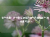 普华永道：沙特非石油经济明年将触底回升 预计增速可达4.4%