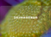 怎样分析传奇彩票走势