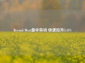 Beyond Meat盘中异动 快速拉升5.45%