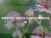 彩票五分快三走势口诀,五分快三彩票骗局全过程