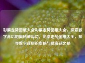 彩票走势图纸大全彩票走势图纸大全，探索数字背后的奥秘藏海花，彩票走势图纸大全，探寻数字背后的奥秘与藏海花之秘，彩票走势图纸大全，探寻数字背后的奥秘与藏海花之谜的集锦