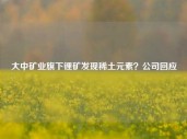 大中矿业旗下锂矿发现稀土元素？公司回应