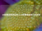 500彩票走势幸运快三,500彩票幸运快三的诀窍