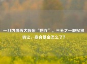 一月内遭两大股东“抛弃”，三分之一股权被转让，嘉合基金怎么了？