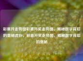 彩票开走势图彩票开奖走势图，揭秘数字背后的奥秘虎扑，彩票开奖走势图，揭秘数字背后的奥秘，彩票开奖走势图，揭秘数字背后的奥秘