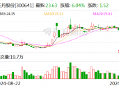 正丹股份：终止2024年度向特定对象发行股票事项