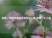 美媒：特朗普重新考虑财长人选 青睐“大人物”