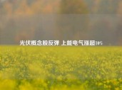 光伏概念股反弹 上能电气涨超10%