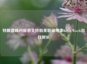 特朗普顾问据悉支持前美联储理事Kevin Warsh出任财长