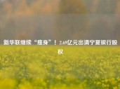 新华联继续“瘦身”！2.69亿元出清宁夏银行股权