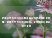 彩票走势专业名词彩票走势专业名词解析全红婵，彩票走势专业术语解析，全红婵与彩票走势的关联，彩票走势专业术语解析，全红婵与彩票走势的关联