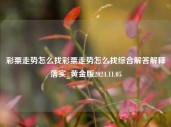 彩票走势怎么找彩票走势怎么找综合解答解释落实_黄金版2024.11.05