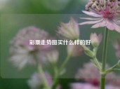 彩票走势图买什么样的好