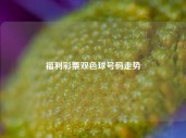 福利彩票双色球号码走势